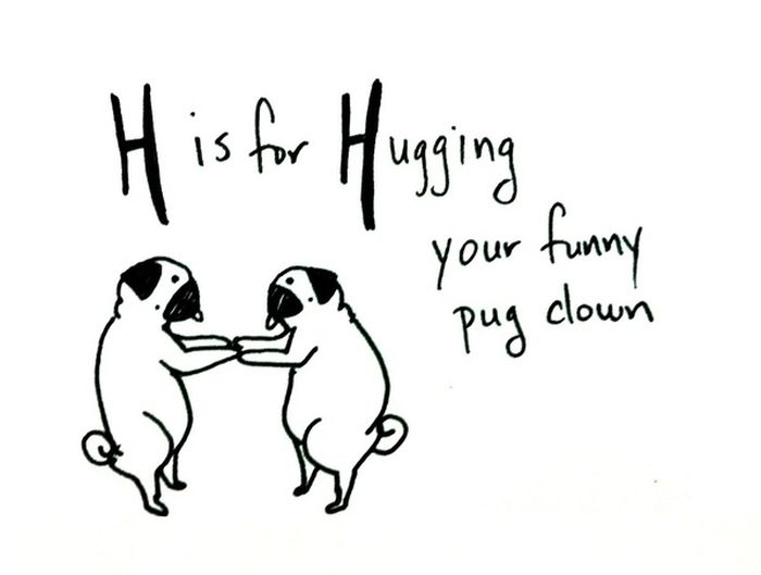 Pug Alphabets (26 pics)