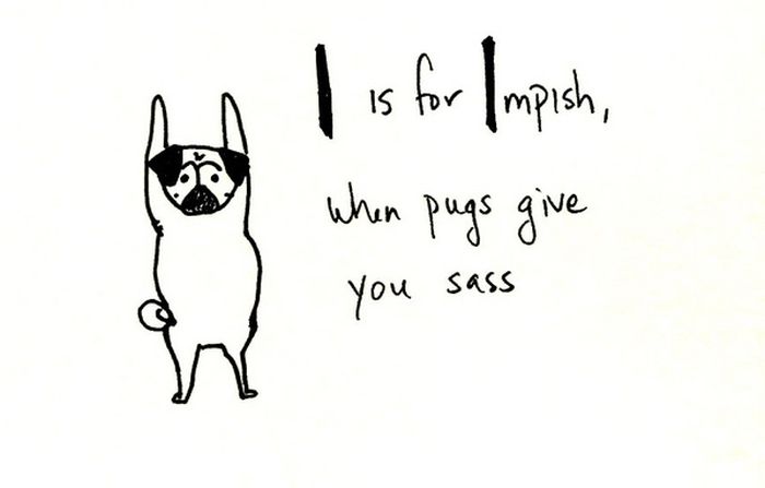 Pug Alphabets (26 pics)