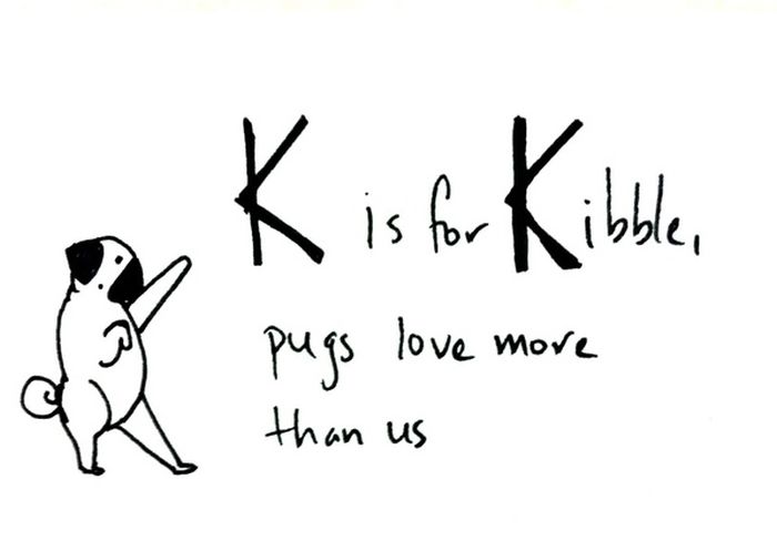 Pug Alphabets (26 pics)
