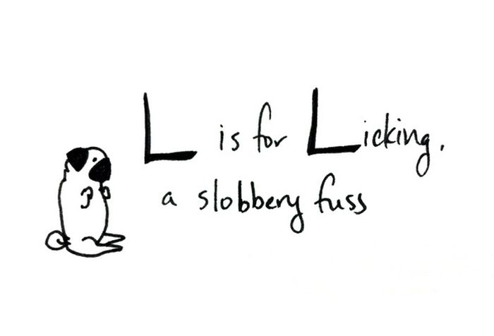Pug Alphabets (26 pics)