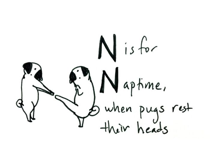 Pug Alphabets (26 pics)