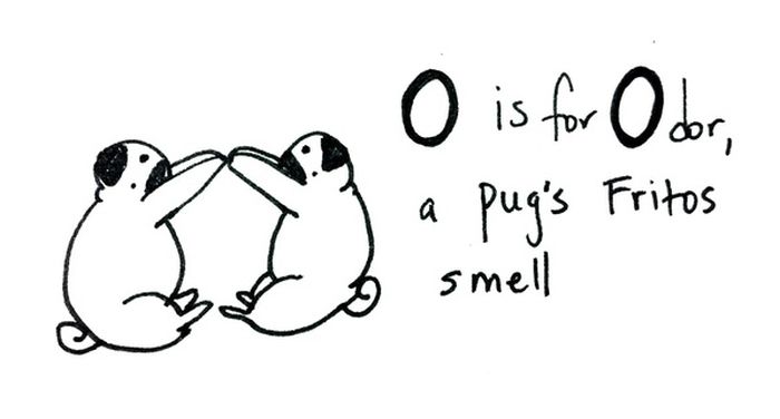 Pug Alphabets (26 pics)