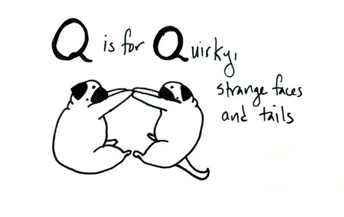 Pug Alphabets (26 pics)
