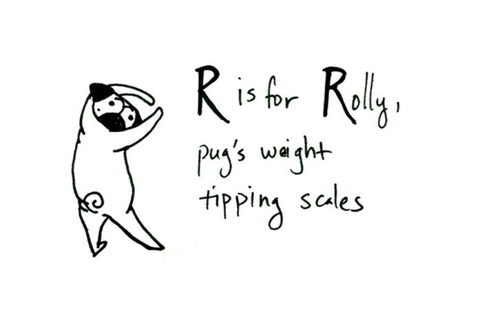 Pug Alphabets (26 pics)