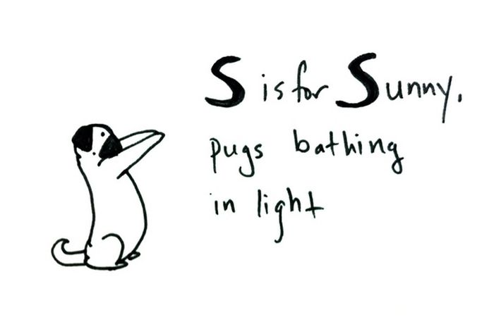 Pug Alphabets (26 pics)