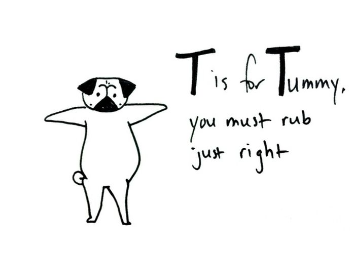 Pug Alphabets (26 pics)