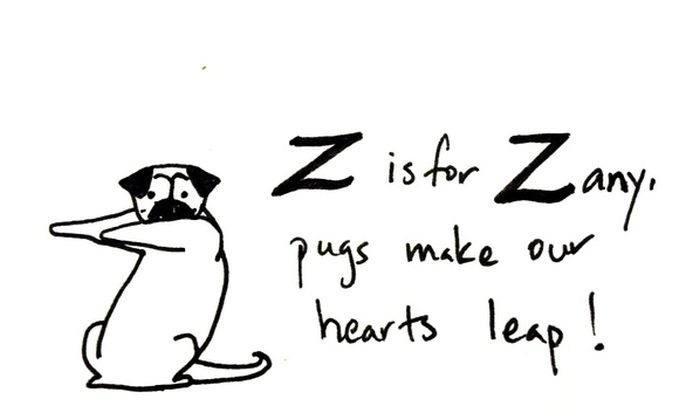 Pug Alphabets (26 pics)