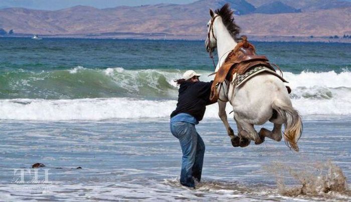 Acid Picdump (102 pics)