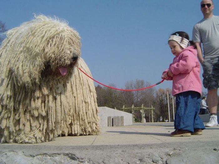 Acid Picdump (102 pics)