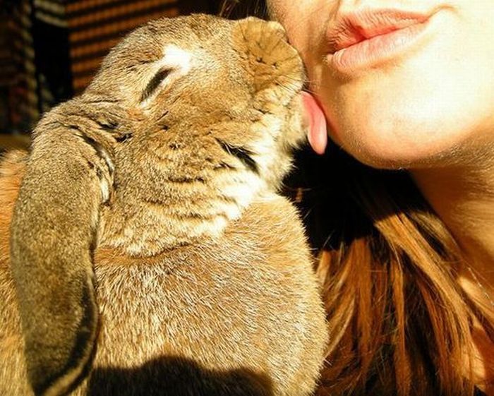 Acid Picdump (102 pics)