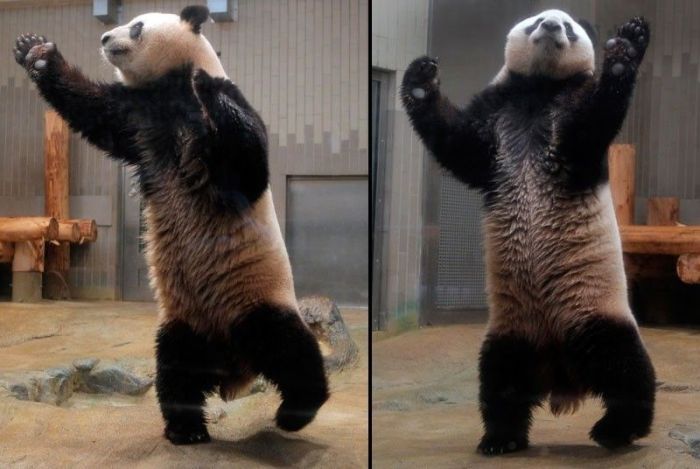 Acid Picdump (102 pics)