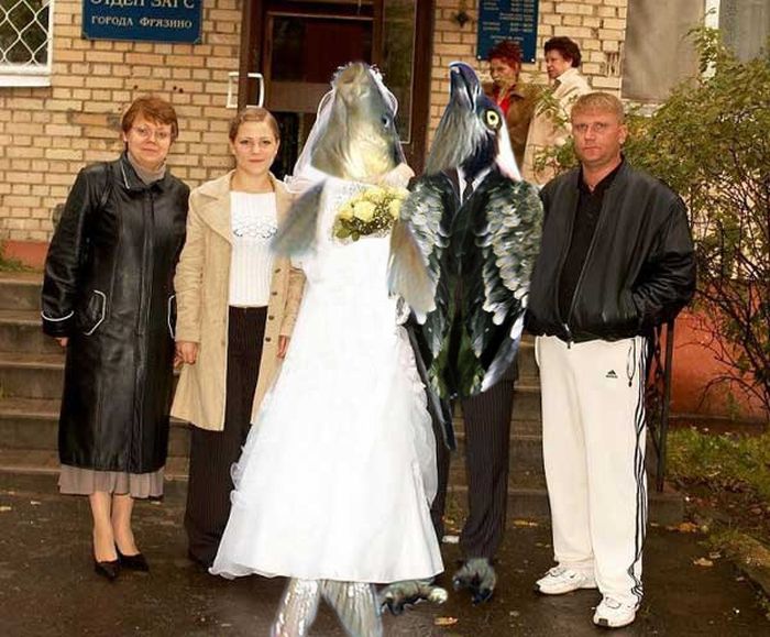 Acid Picdump (102 pics)