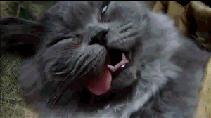 Acid Gifdump (10 gifs)