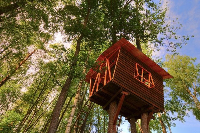 How to Build an Awesome Treehouse (45 pics)