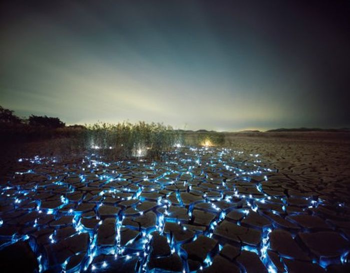 Acid Picdump (110 pics)