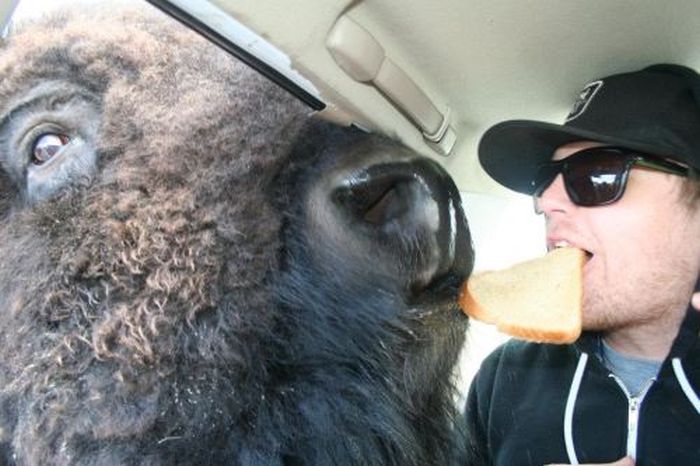 Acid Picdump (110 pics)