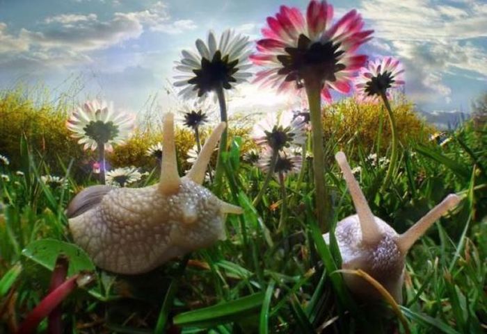 Acid Picdump (110 pics)