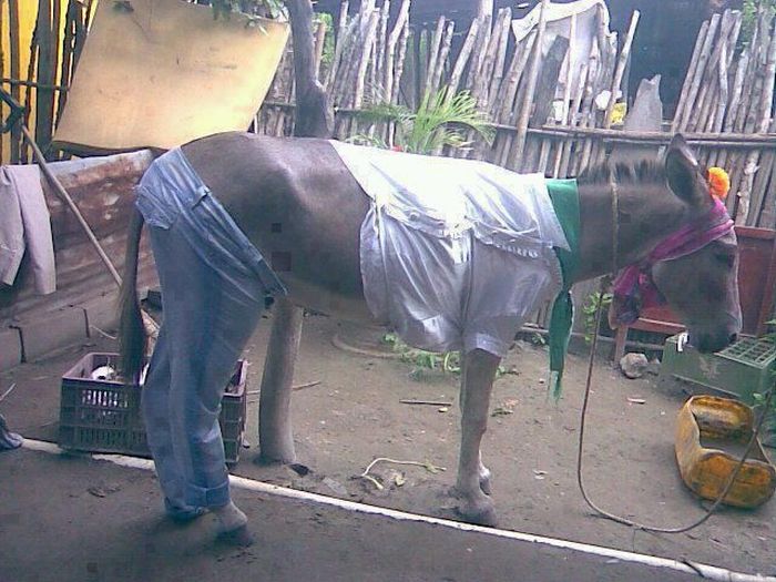 Acid Picdump (110 pics)