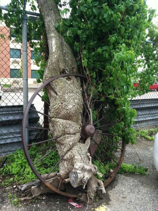 Acid Picdump (110 pics)