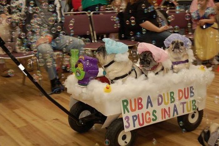 Acid Picdump (110 pics)