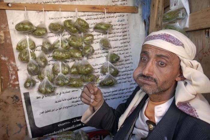 People Chewing Khat (15 pics)