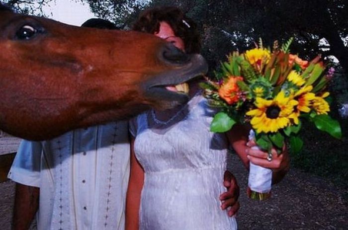 Acid Picdump. Part 2 (74 pics)