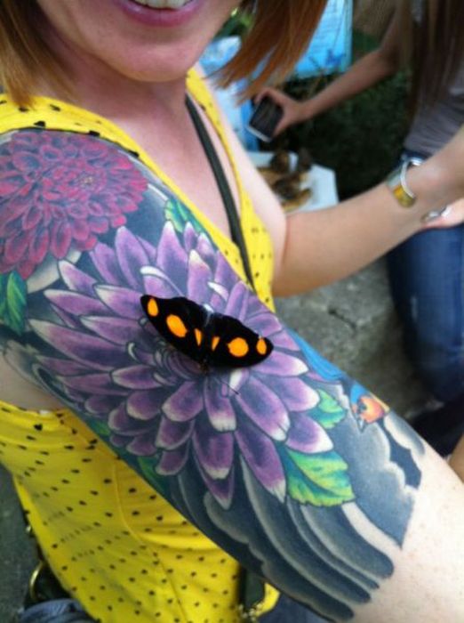 Acid Picdump. Part 2 (74 pics)