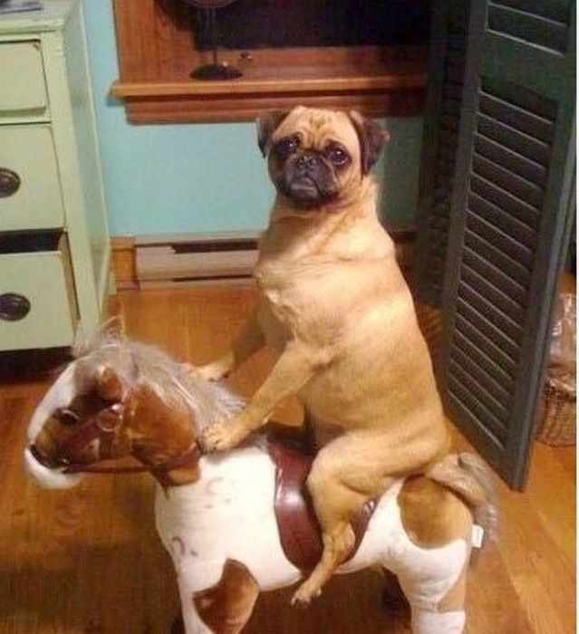 Acid Picdump. Part 2 (74 pics)