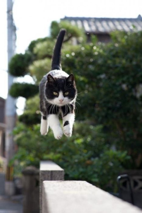 Acid Picdump. Part 2 (74 pics)