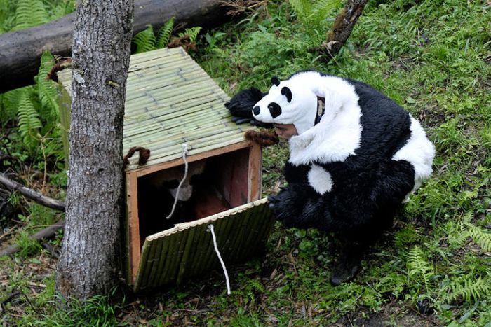 Acid Picdump. Part 2 (74 pics)