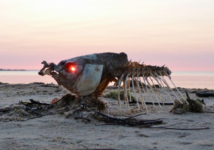 Acid Picdump. Part 2 (74 pics)