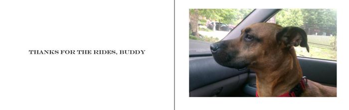 Going For A Ride (13 pics)