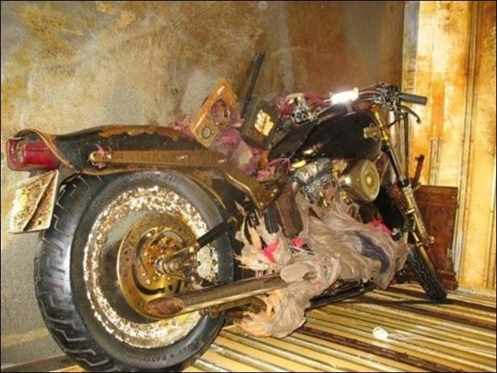 Harley Davidson Swept Away by Japan Tsunami Found in Canada (5 pics)