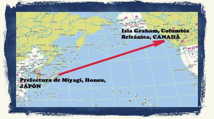 Harley Davidson Swept Away by Japan Tsunami Found in Canada (5 pics)
