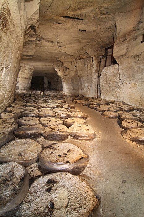 French World War I Bunker (17 pics)