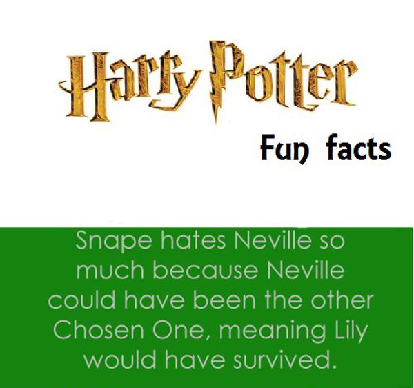 Interesting Harry Potter Facts (10 pics)