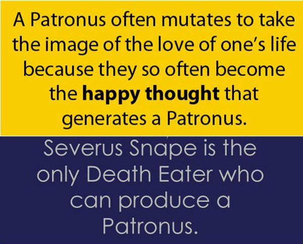 Interesting Harry Potter Facts (10 pics)