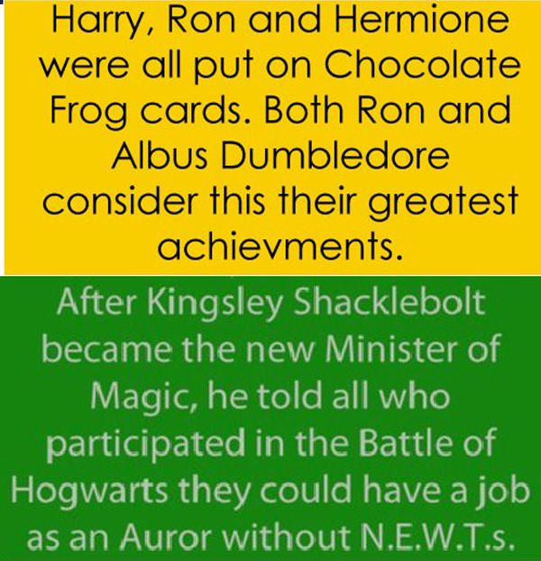 Interesting Harry Potter Facts (10 pics)