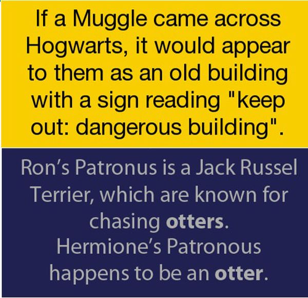 Interesting Harry Potter Facts (10 pics)