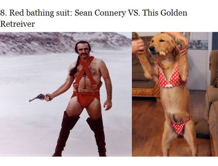 Who Wore It Better? (25 pics)