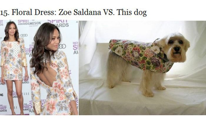 Who Wore It Better? (25 pics)