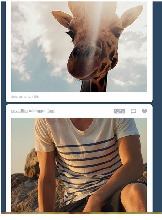 Funny Tumblr Coincidences (19 pics)