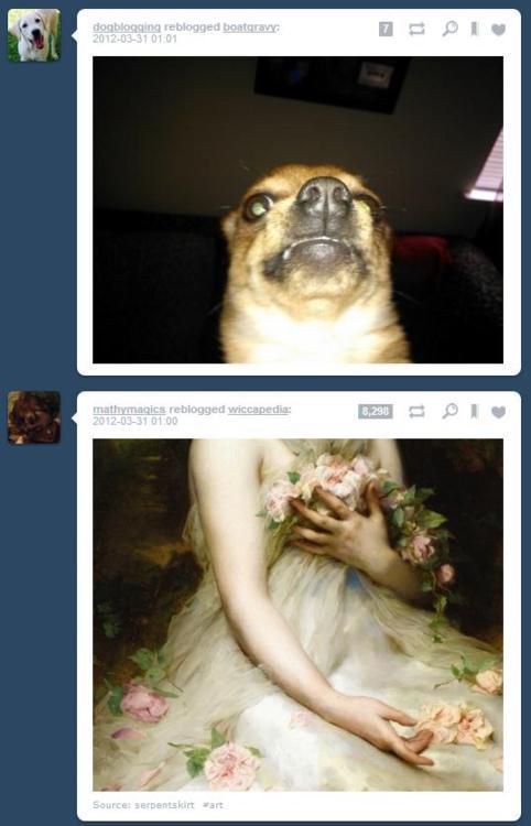 Funny Tumblr Coincidences (19 pics)