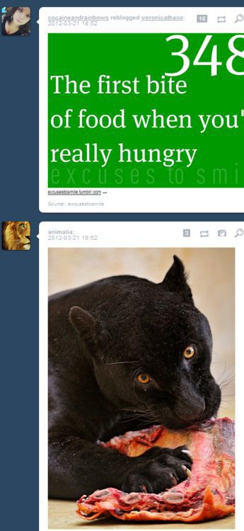 Funny Tumblr Coincidences (19 pics)
