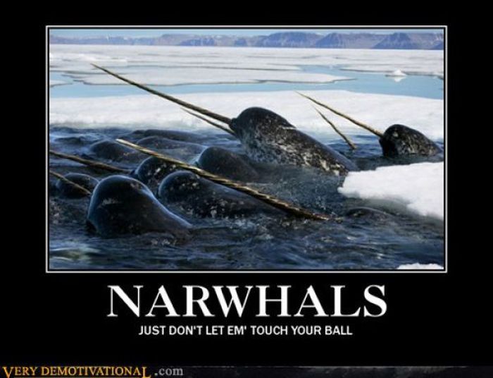 Funny Demotivational Posters (32 pics)