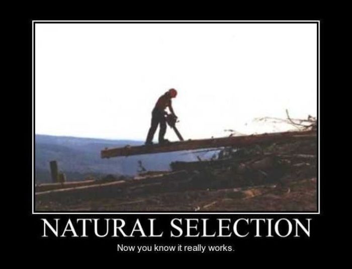 Funny Demotivational Posters (32 pics)