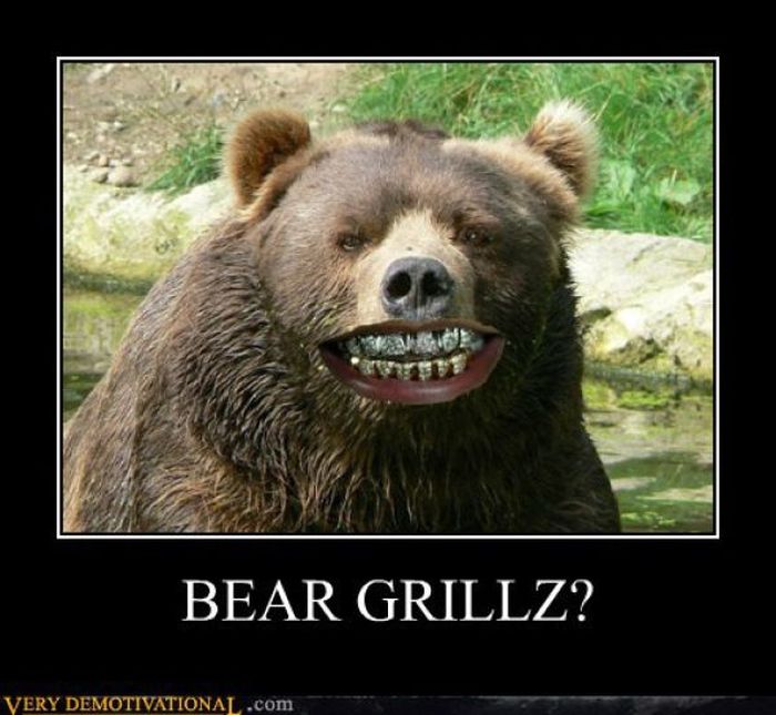 Funny Demotivational Posters (32 pics)