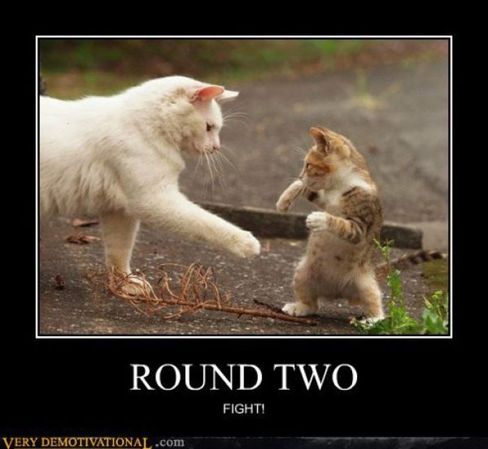 Funny Demotivational Posters (32 pics)