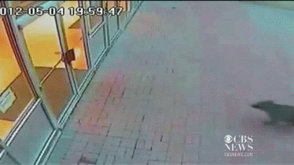 Acid Gifdump (10 gifs)