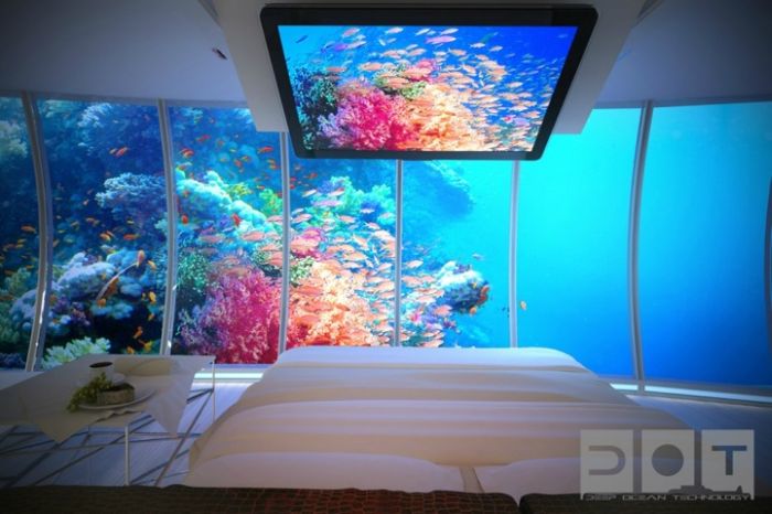 The Water Discus Underwater Hotel in Dubai (12 pics)